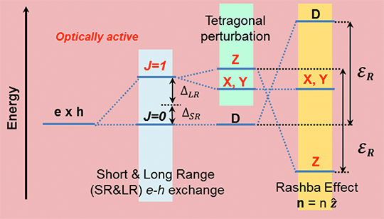 Diagram shows an vertical arrow labeled Energy and three vertical bars labeled as follows: Short and Long Range (SR&LR) e-h exchange, Tetragonal perturbation, and Rashba Effect.
