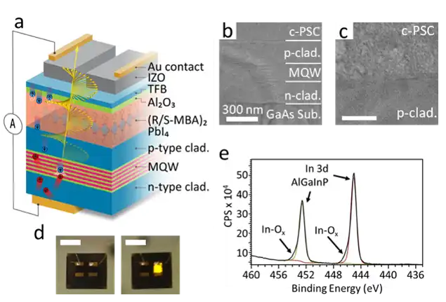 An illustration, chart, radiographs, and images showing scientific measurements.