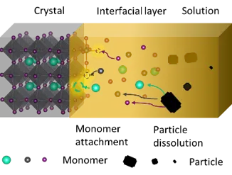 Illustration showing the crystal, interfacial layer, and solution of a perovskite.