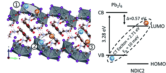 Schematic depicting the location of the exciton, CT states, and NDIC2 aggregate states on the crystal lattice; and a proposed charge transfer energy diagram between Pb2I6 wires and NDIC2 cations.