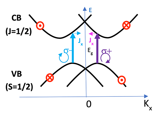Schematic showing CB (J=1/2) and VB (S=1/2)
