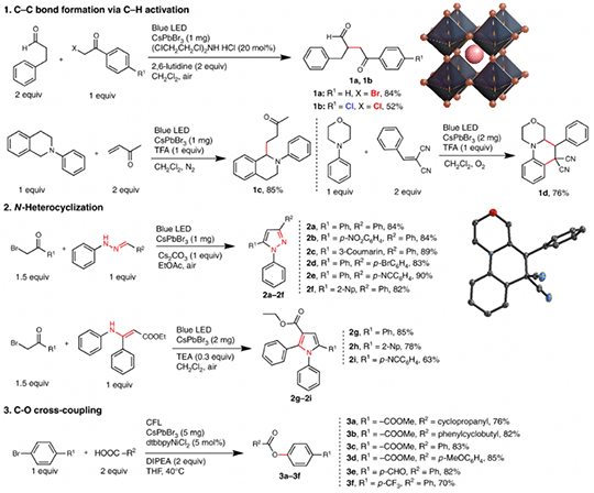 Schematic showing illustrations of molecules. 