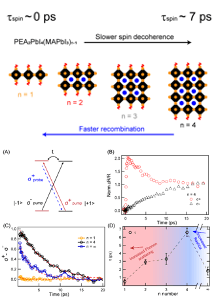 Image showing charts of spin coherence