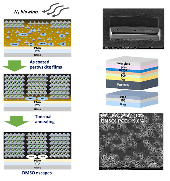 Top left: Schematic shows how the voids are formed at the perovskite-substrate interfaces. Top right: Image of a perovskite-substrate interface. Middle left: Schematic of peeling off perovskite films from ITO glass substrates with an epoxy encapsulant for SEM characterization. Middle right: Schematic shows how the voids are formed at the perovskite-substrate interfaces through thermal annealing. Bottom left: Image of the perovskite-substrate interfaces of the blade-coated perovskite films that were prepared from the precursor solutions with different amounts of DMSO and then peeled off from ITO glass substrates. Bottom right: Schematic shows how the voids are formed at the perovskite-substrate interfaces when DMSO escapes.