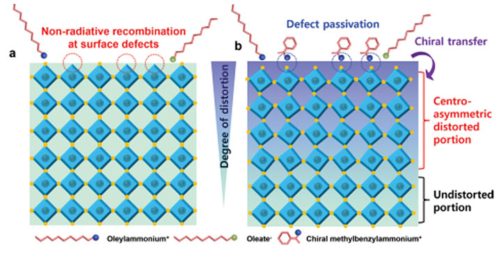 Images of PNCs showing non-radiative recombination surface defects and defect passivation