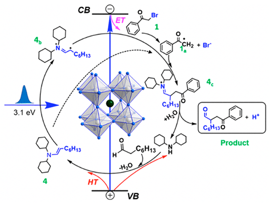 Schematic of molecules